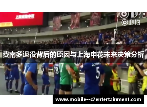 费南多退役背后的原因与上海申花未来决策分析