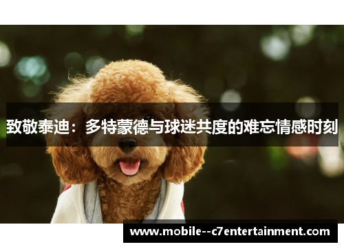 致敬泰迪：多特蒙德与球迷共度的难忘情感时刻