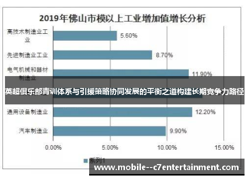 英超俱乐部青训体系与引援策略协同发展的平衡之道构建长期竞争力路径
