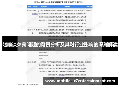 赵鹏谈欠薪问题的背景分析及其对行业影响的深刻解读