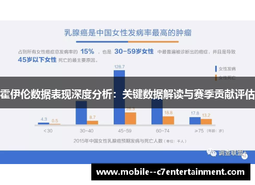 霍伊伦数据表现深度分析：关键数据解读与赛季贡献评估