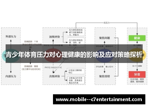 青少年体育压力对心理健康的影响及应对策略探析