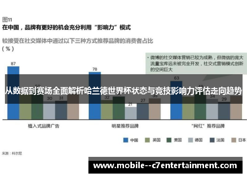 从数据到赛场全面解析哈兰德世界杯状态与竞技影响力评估走向趋势